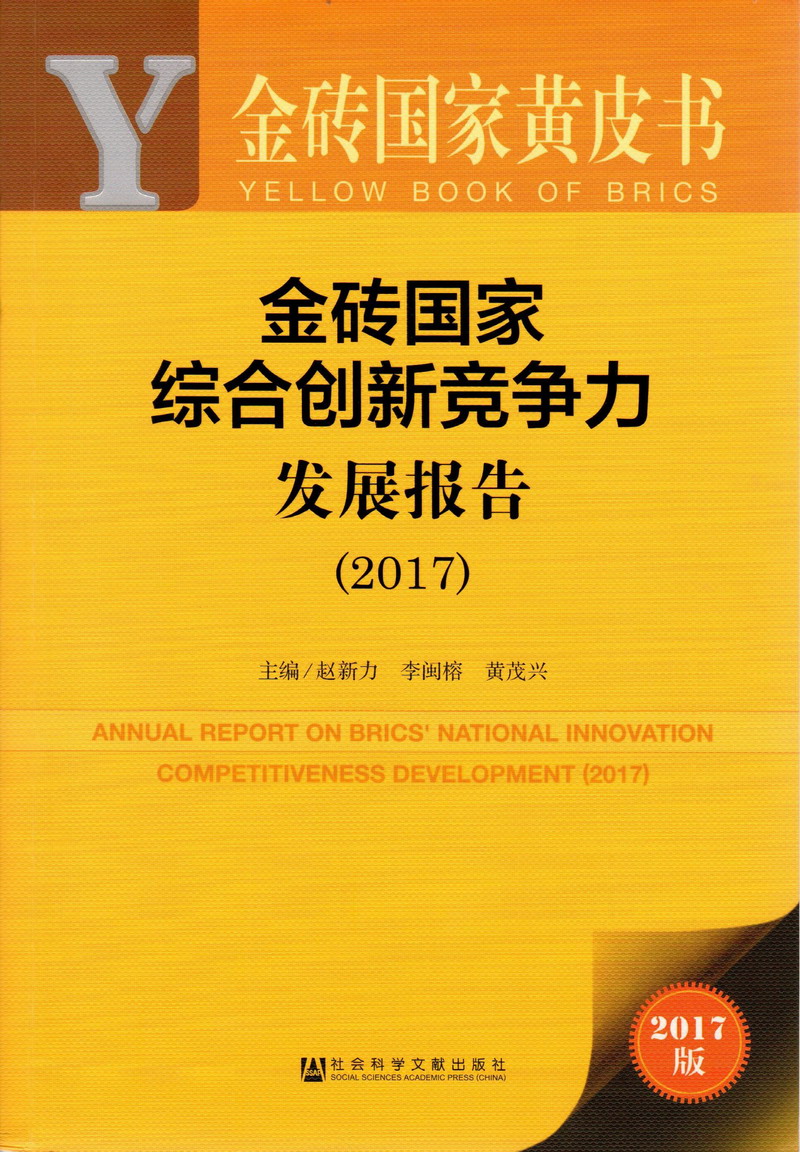 少妇被躁爽到高潮吃瓜金砖国家综合创新竞争力发展报告（2017）